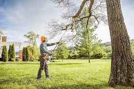 Best Emergency Tree Removal  in Awendaw, SC