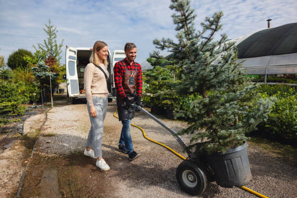 How Our Tree Care Process Works  in  Awendaw, SC